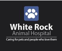 $250 Gift Certicate to White Rock Animal Hospital (East Dallas location) 202//165